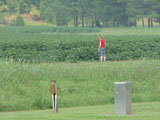 Karen cotton field