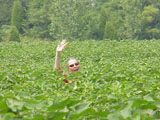 Mitzi waving